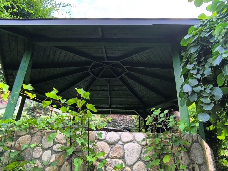 IMG 102557 630